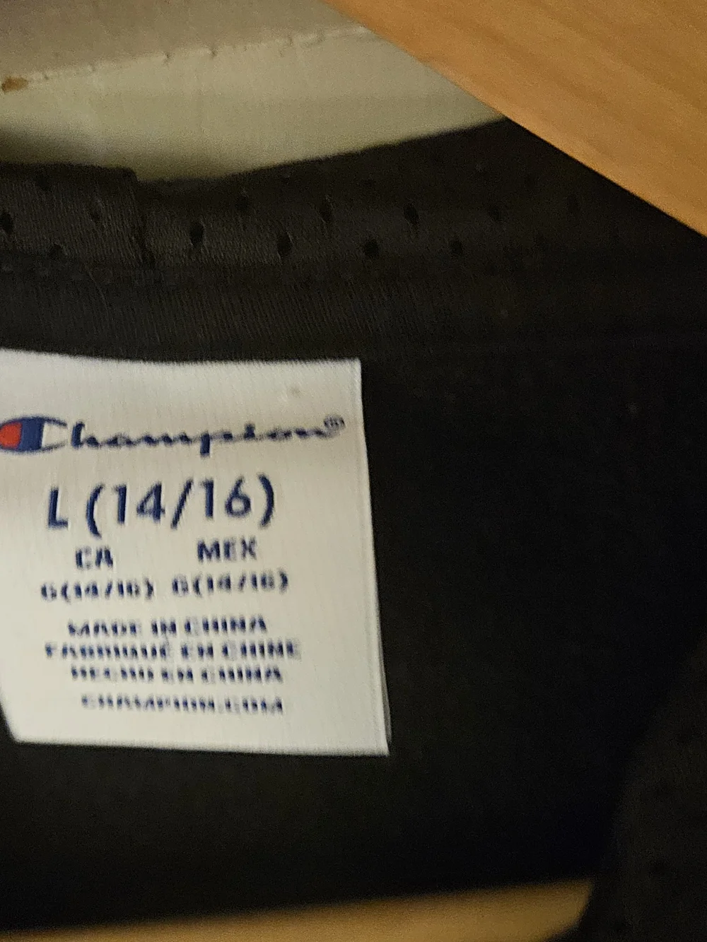 Champion classic hoodie